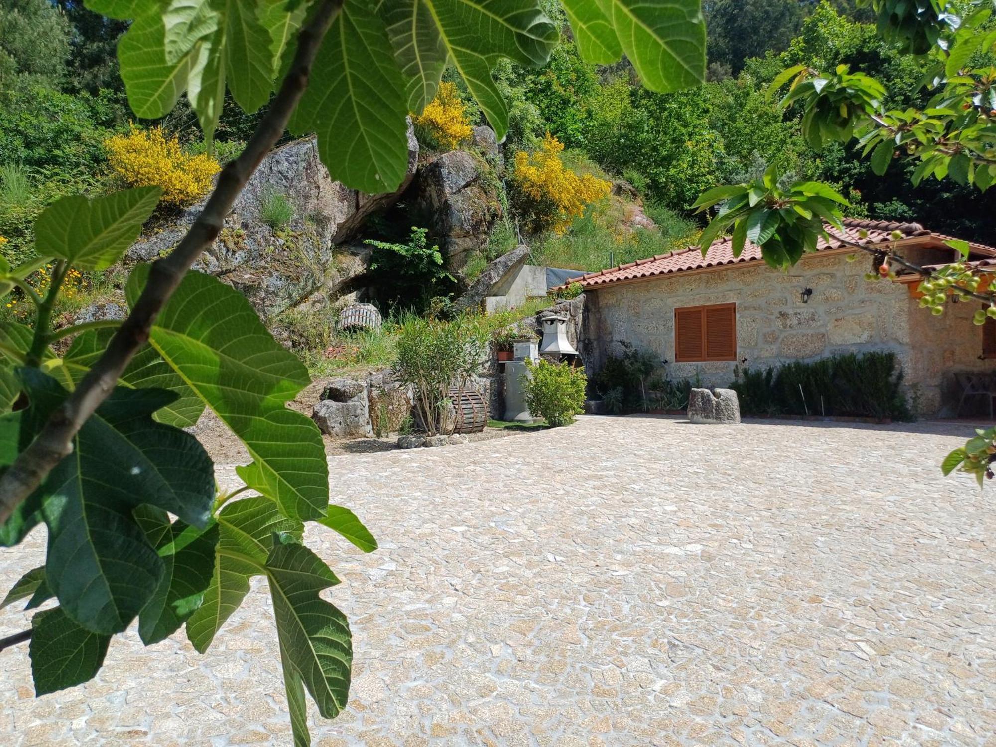 Casa Da Fragoeira Villa Gandarela de Basto Ngoại thất bức ảnh